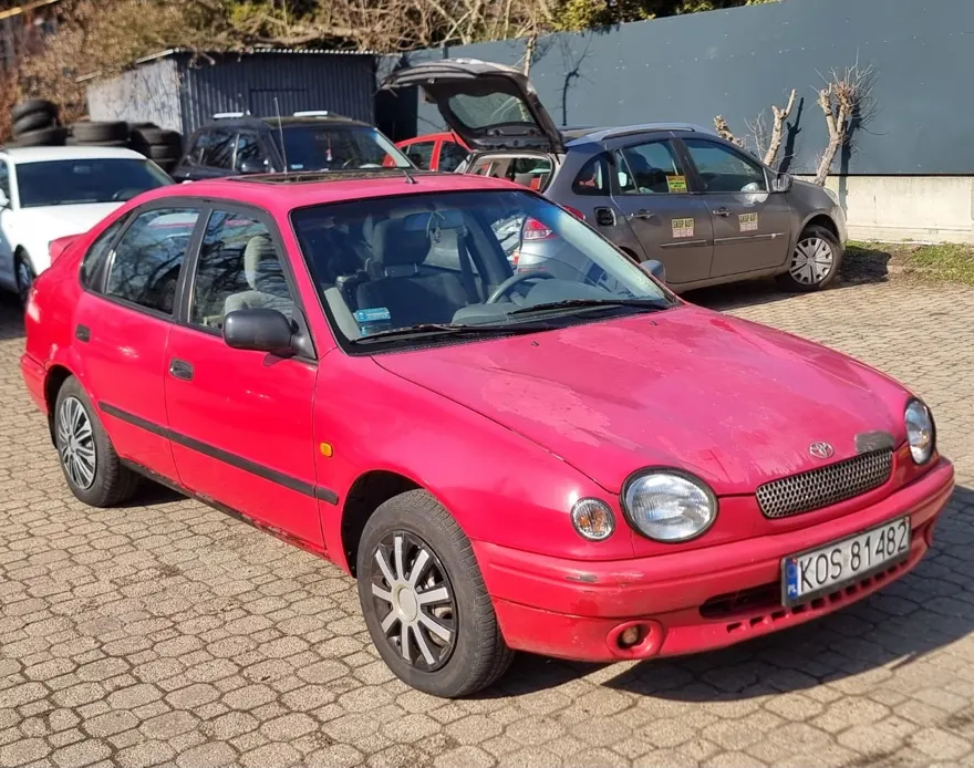 Skup Toyota Corolla — skupiony egzemplarz, gotówka przy umowie